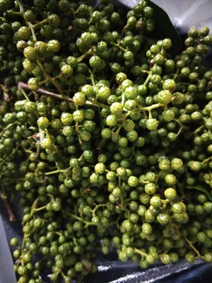 青花椒油的做法步骤图 青花椒油怎么做好吃 长相就是丑 下厨房 青花椒油的做法步骤图 青花椒油怎么做好吃 长相就是丑 下厨房