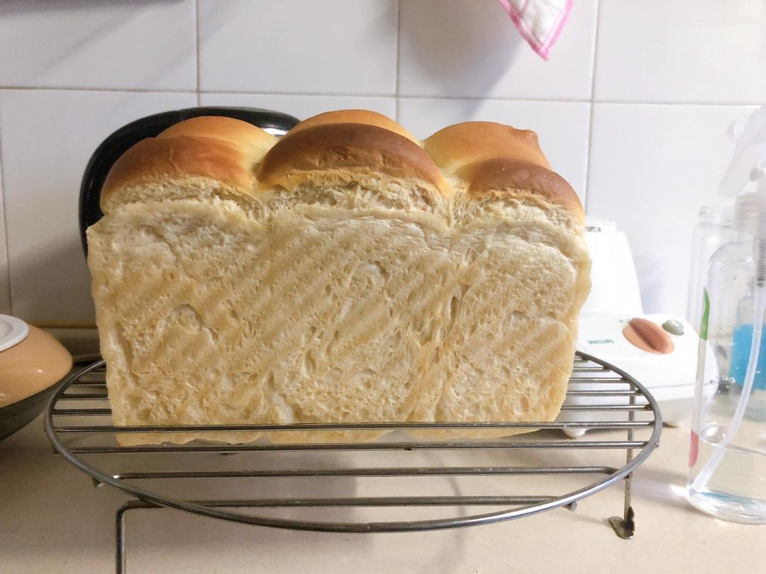 抹茶红豆吐司450克 波兰种