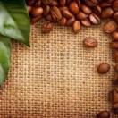 手机用户1152_5ue6