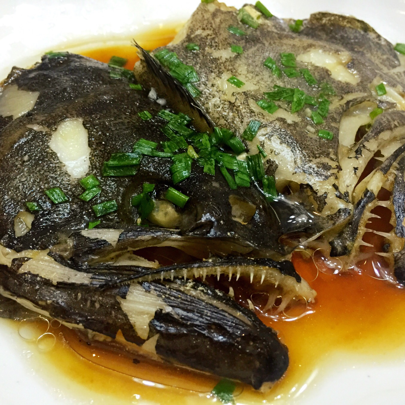 嘉善刚仔做的葱油鸦片鱼头