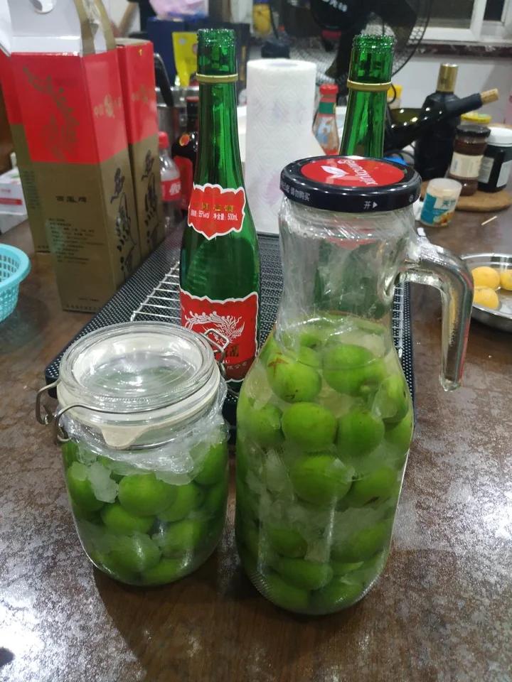 【青梅酒】梅子的沉醉时光（已填坑）