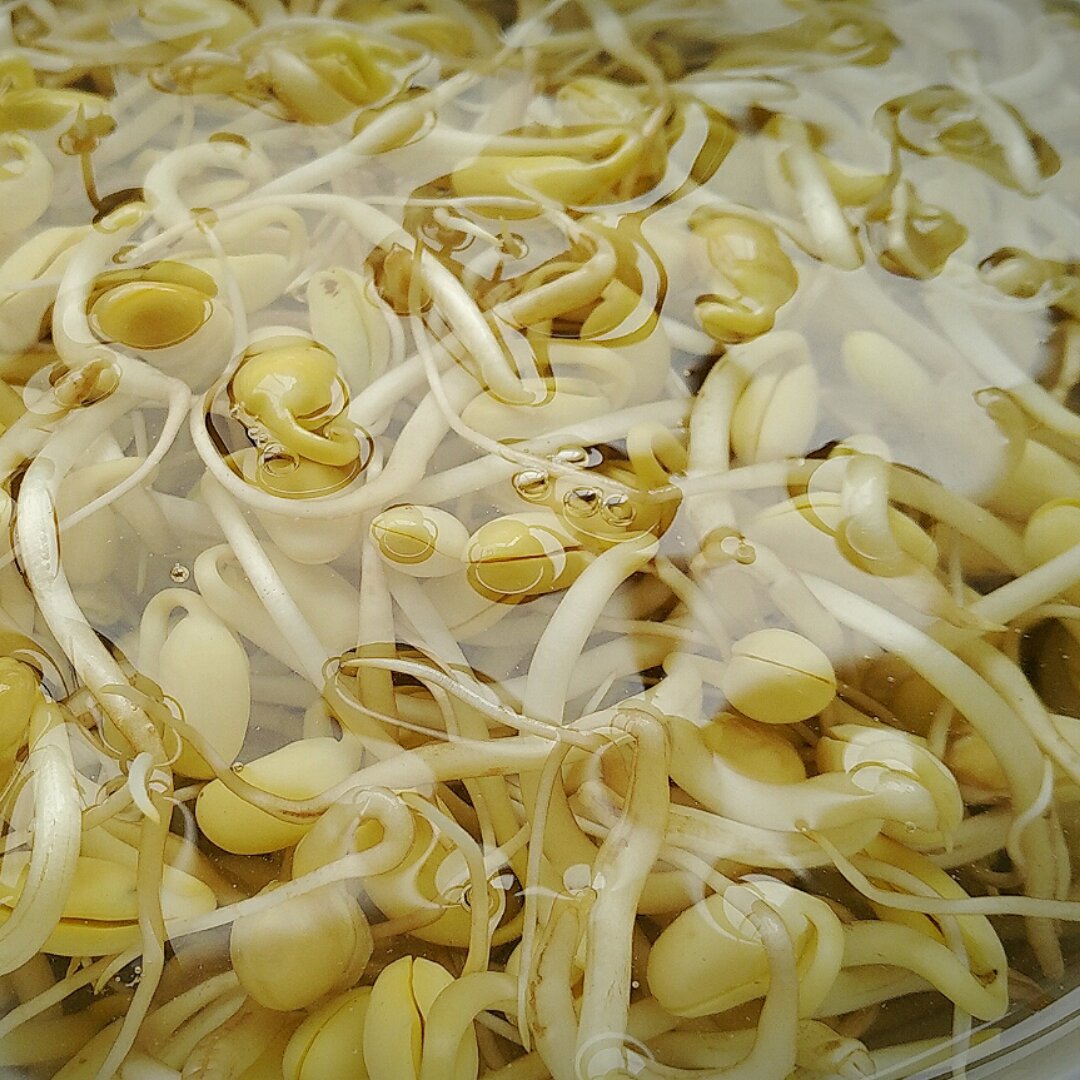 爱满分的生机小菜园