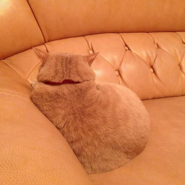 煎堆