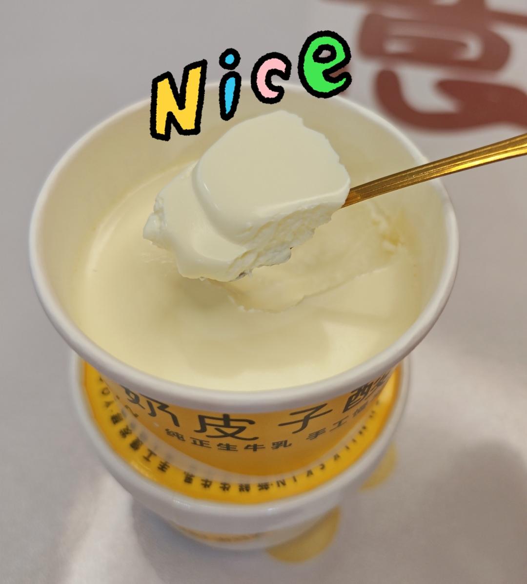网红奶皮子酸奶（小美版）