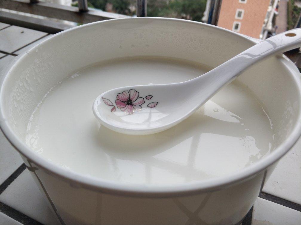 酸奶机版 北京老酸奶（3人份）半固态的，豆腐脑一样的！