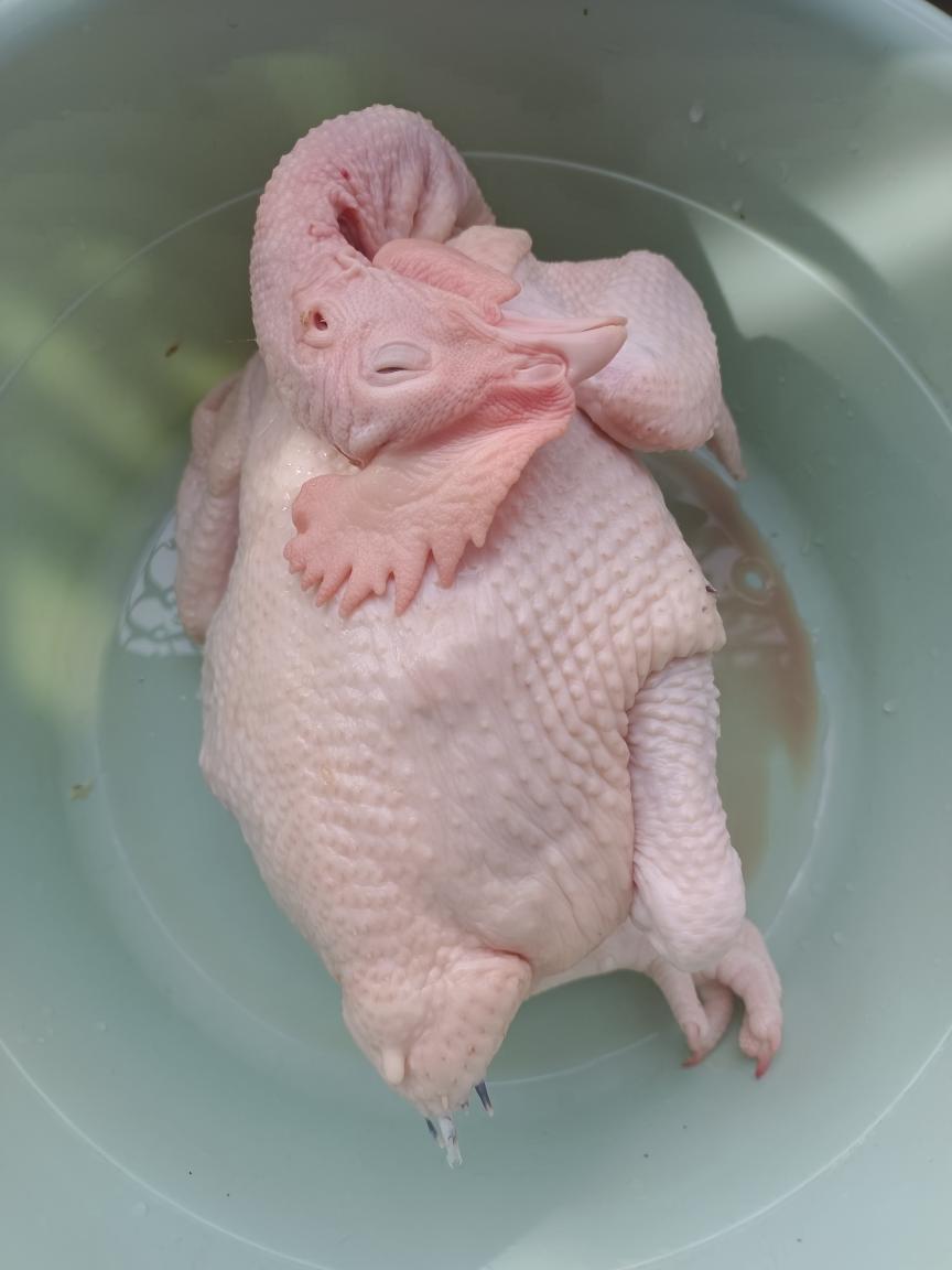 简易版五指毛桃盐焗鸡的做法 步骤1