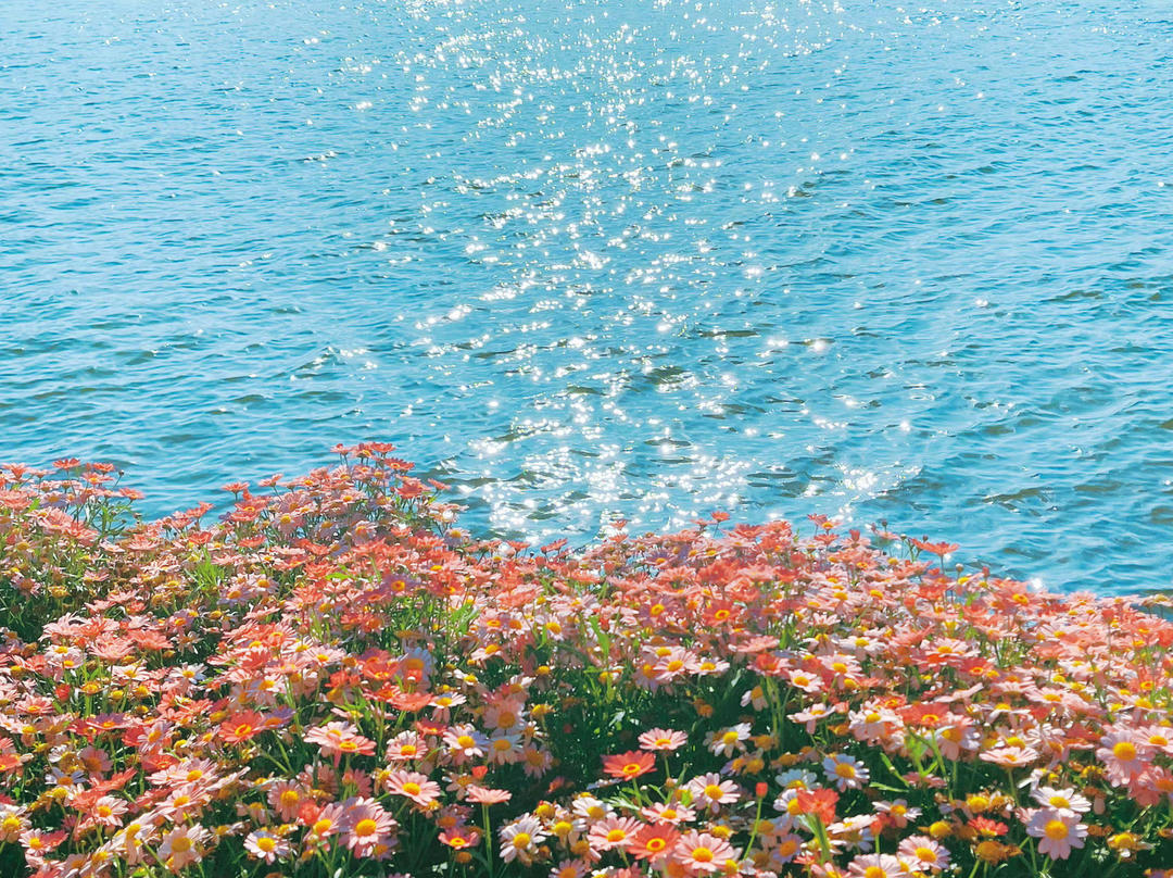rara_168