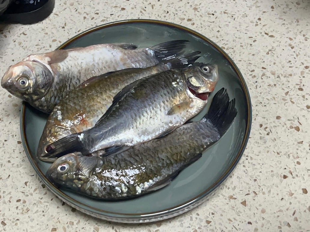 奶白鲫鱼豆腐汤|一条鱼最后的温柔