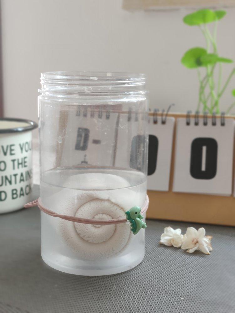 意大利水式酵母（Pasta Madre)