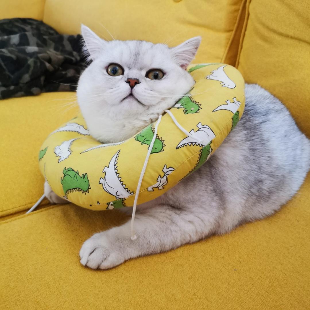 狗咪锤