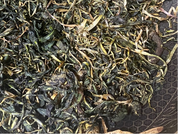 蒲公英茶（蒸熟型）