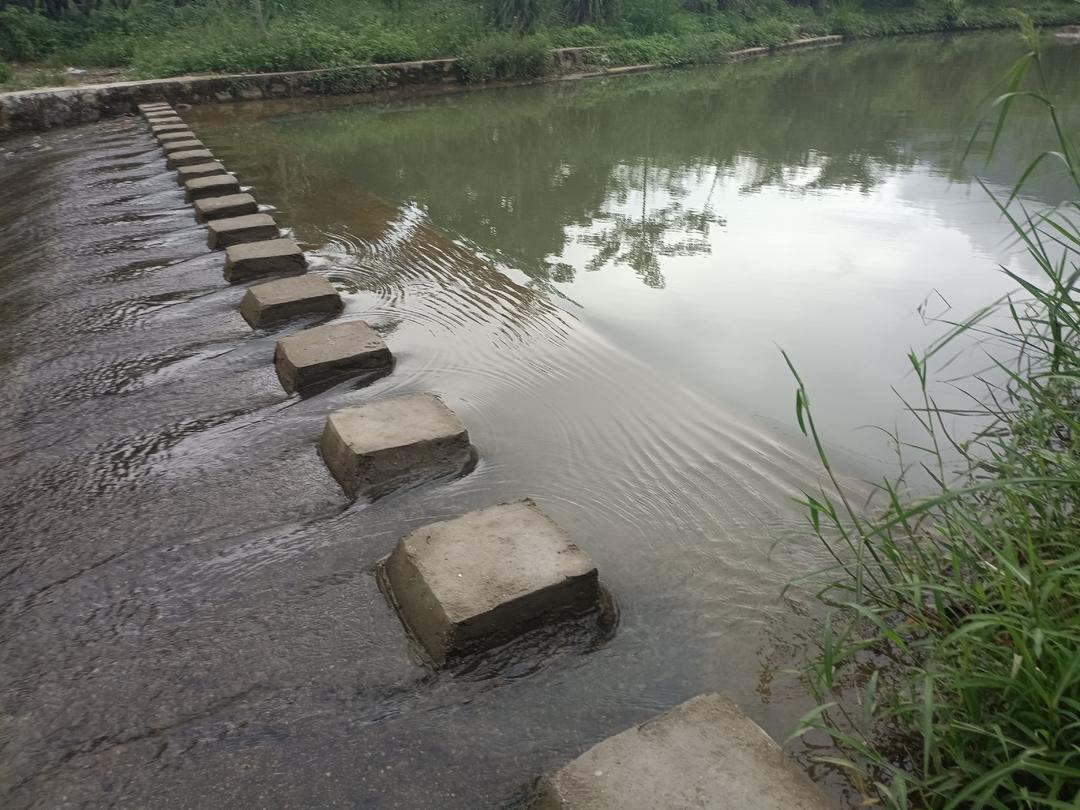 下厨房用户_ahwvc