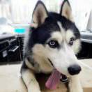 方向怀里的小僧