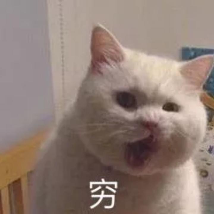 菜鸟蓝蓝