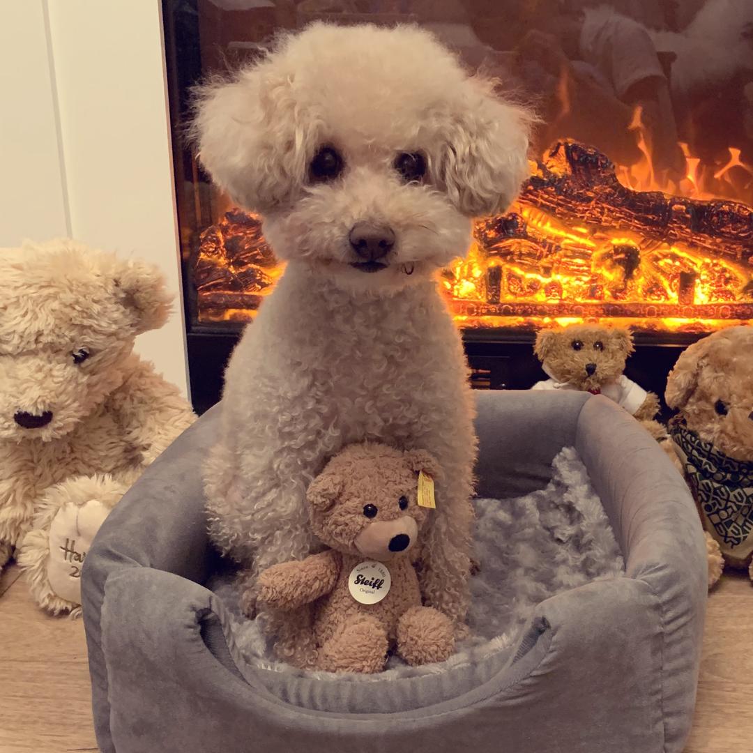 Rop围观的小厨房