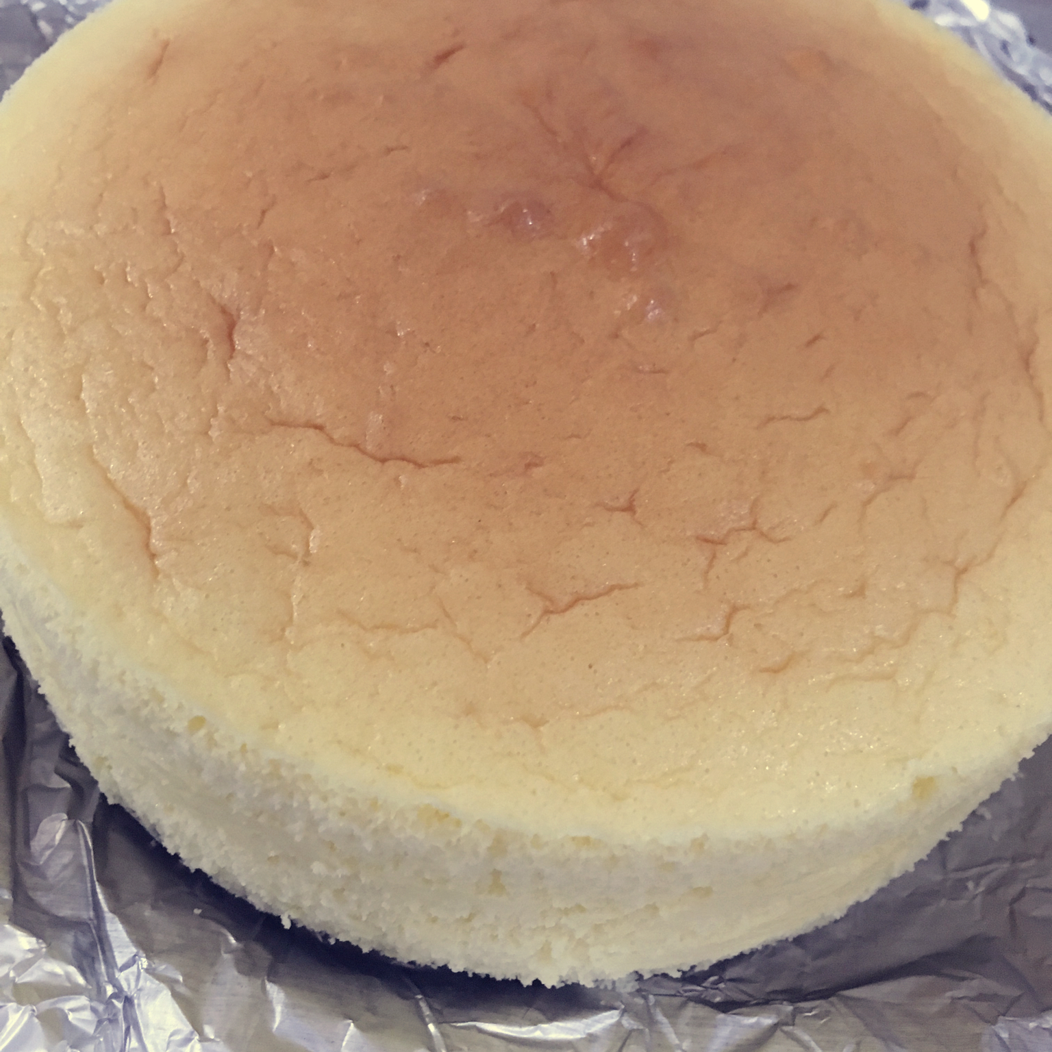 轻乳酪芝士蛋糕6寸#皮黑森林#