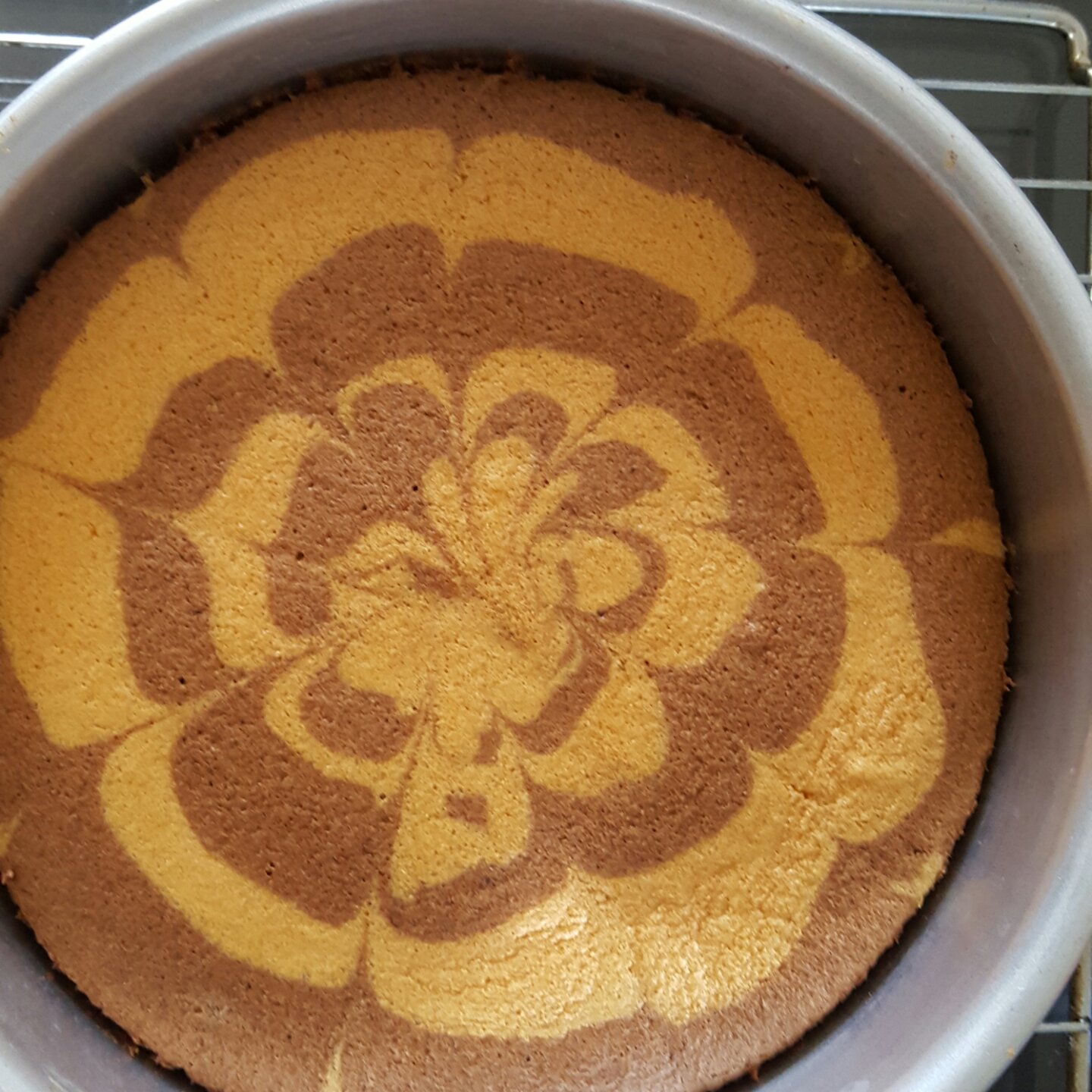 双色拉花戚风蛋糕