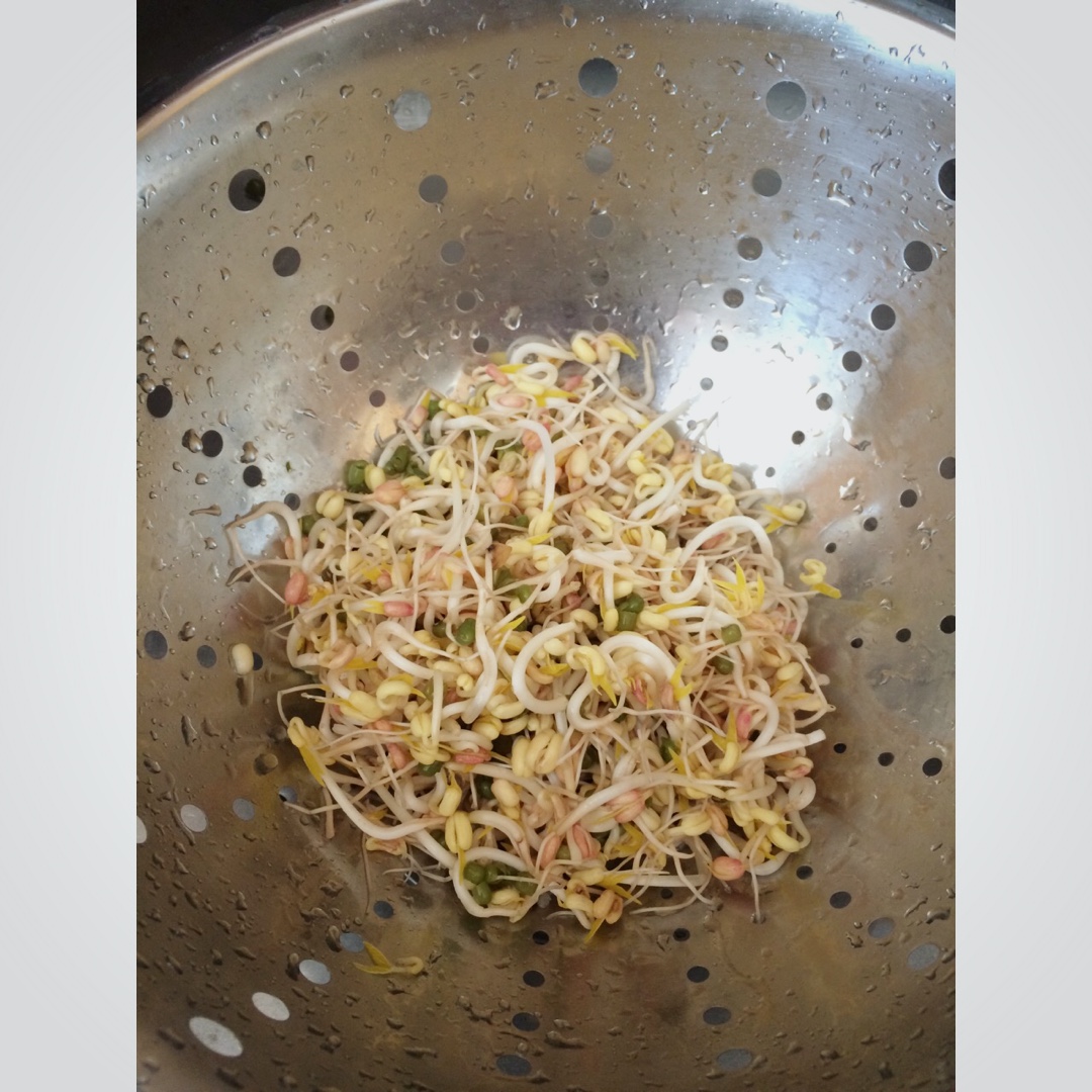 自发豆芽（可乐瓶发豆芽0失败！）