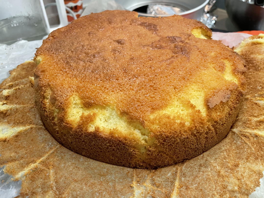 裱花必备，全蛋海绵蛋糕胚，6寸加高圆模