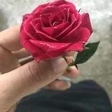 白闹快吃药