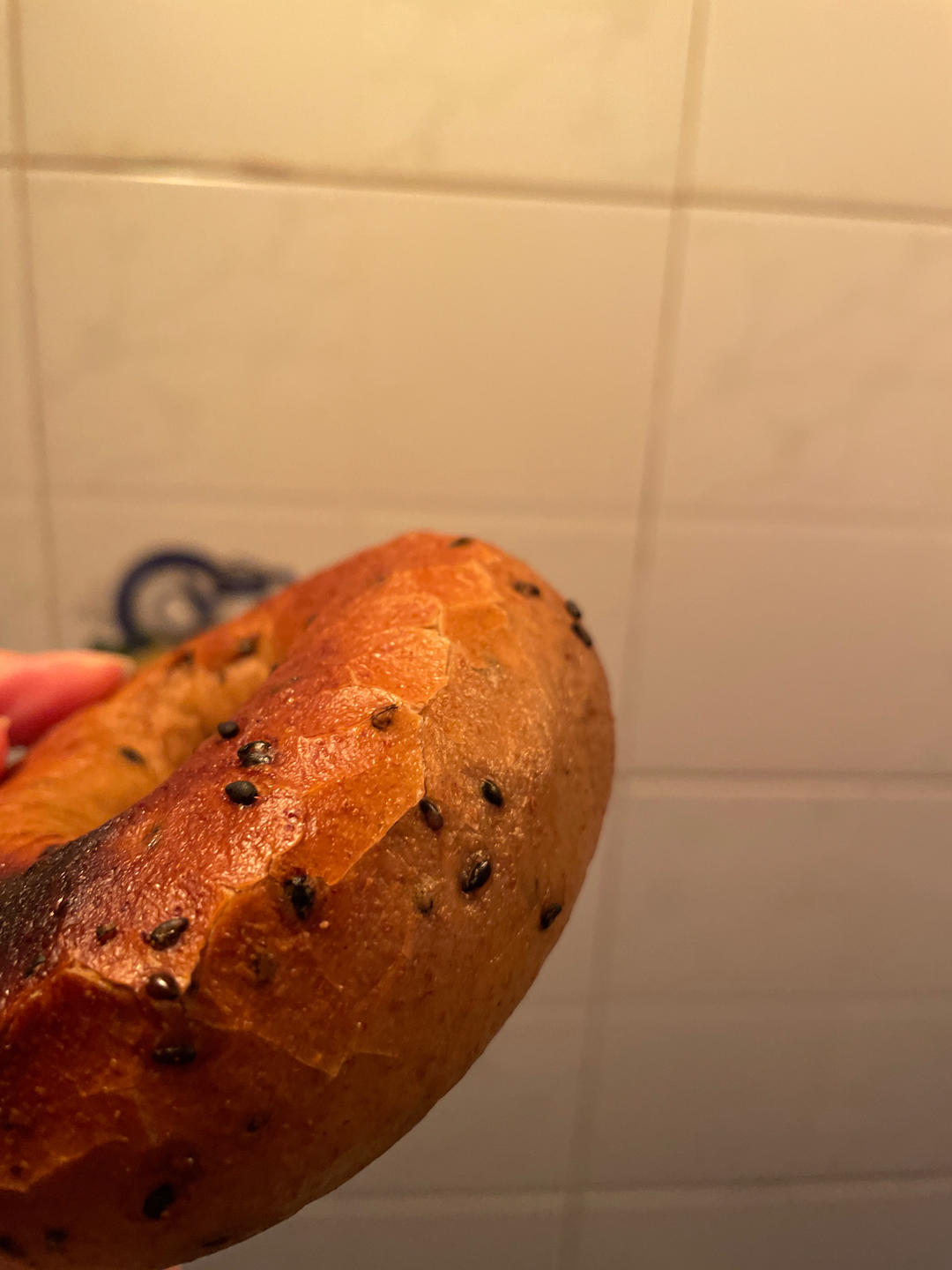无油无糖全麦贝果❗️减脂必备主食