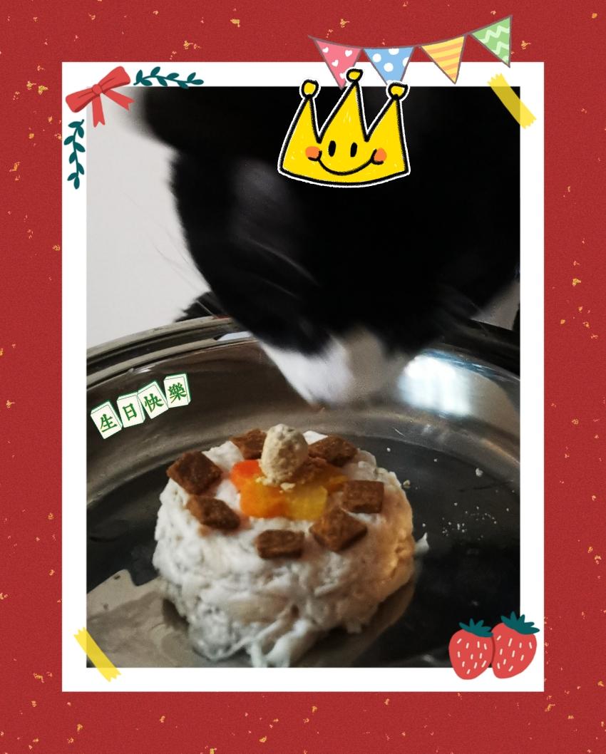 宠物蛋糕