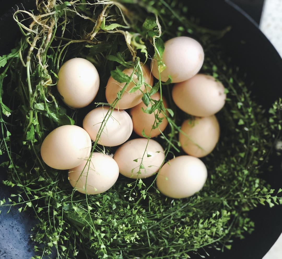 凿壁偷光吃早餐