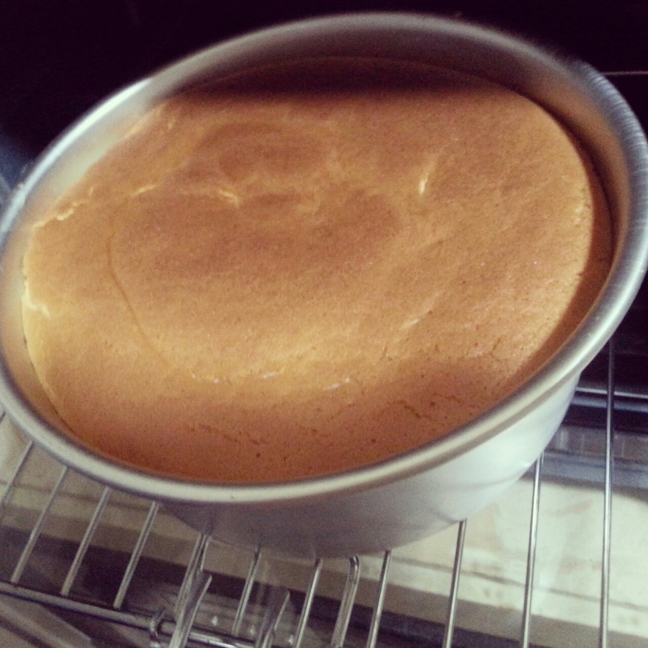 超软的~酸奶蛋糕