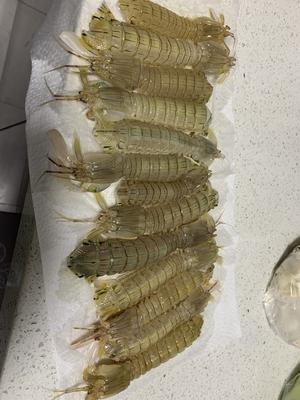 吃完不会想去夜啤酒摊的椒盐爬爬虾🦐的做法 步骤2