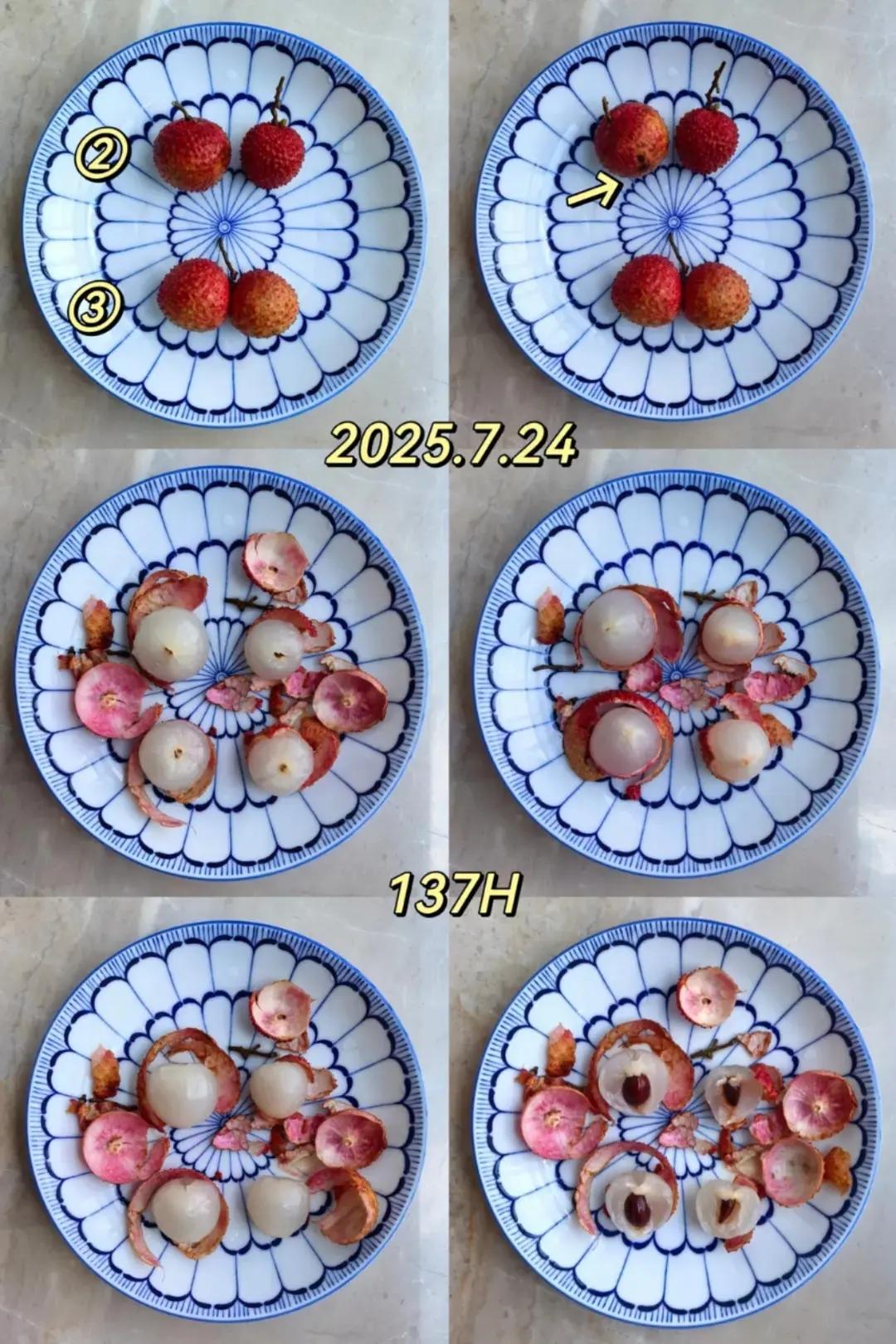 荔枝保鲜对比