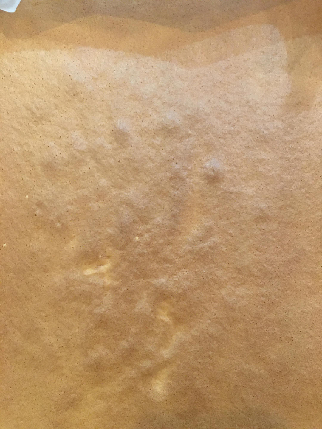 【蛋糕卷小分队】1：基础蛋糕卷