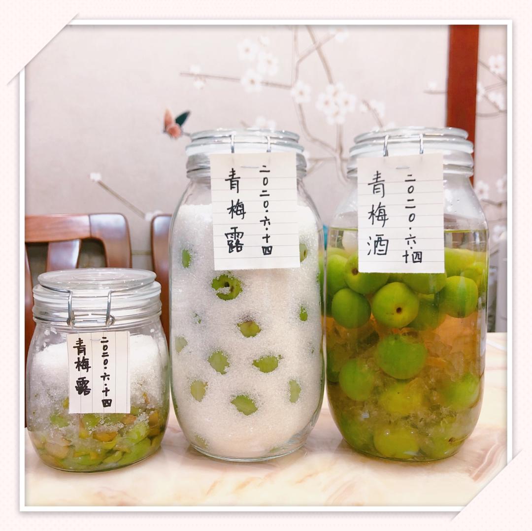 零失败【青梅酒 & 梅子露】梅子的沉淀岁月