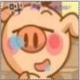 香猪mini