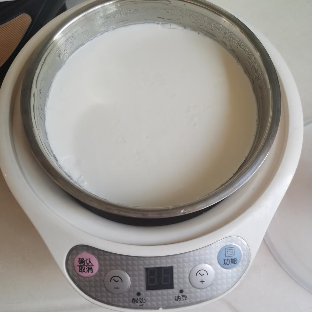 酸奶机自制无糖酸奶