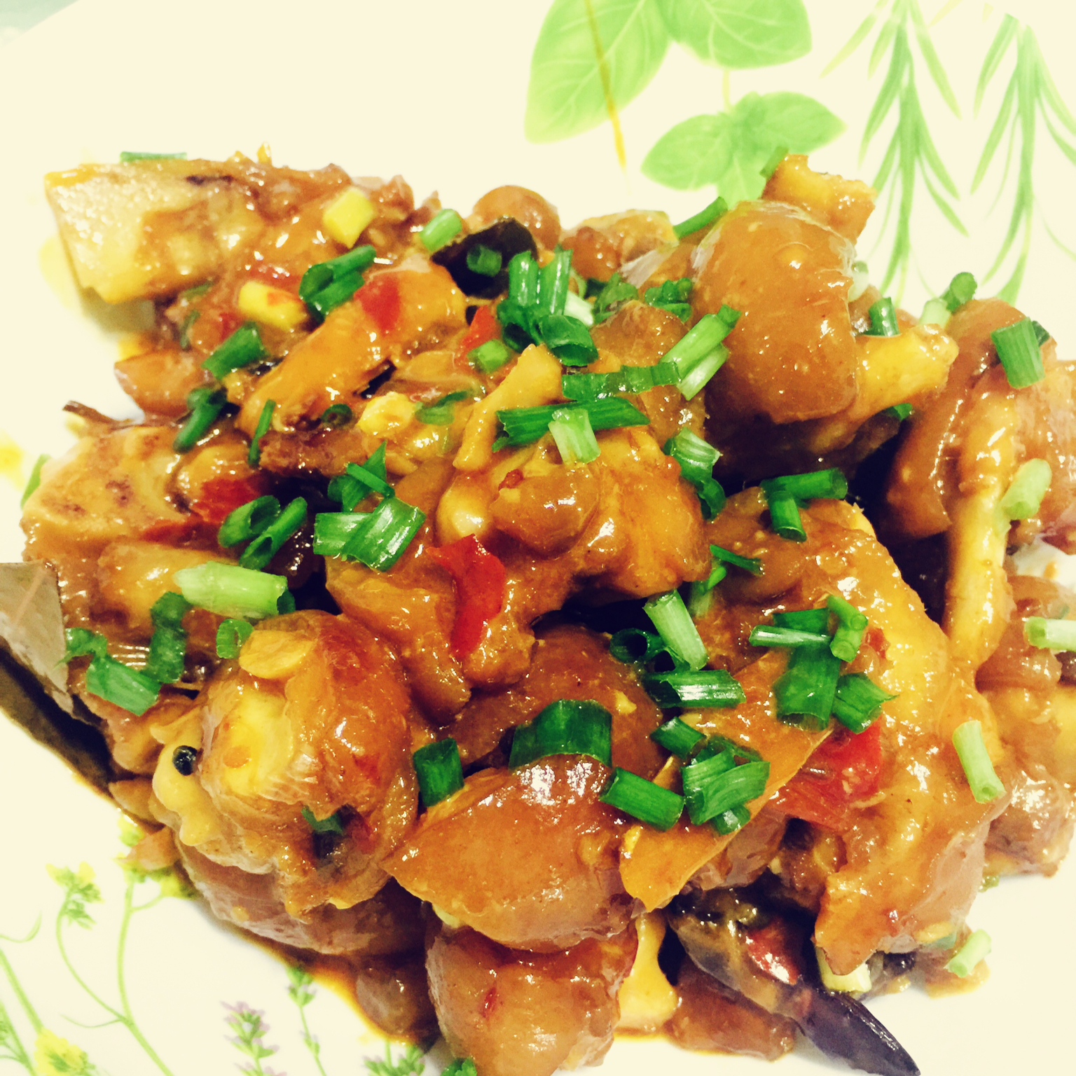 美味的家常菜：红烧猪蹄