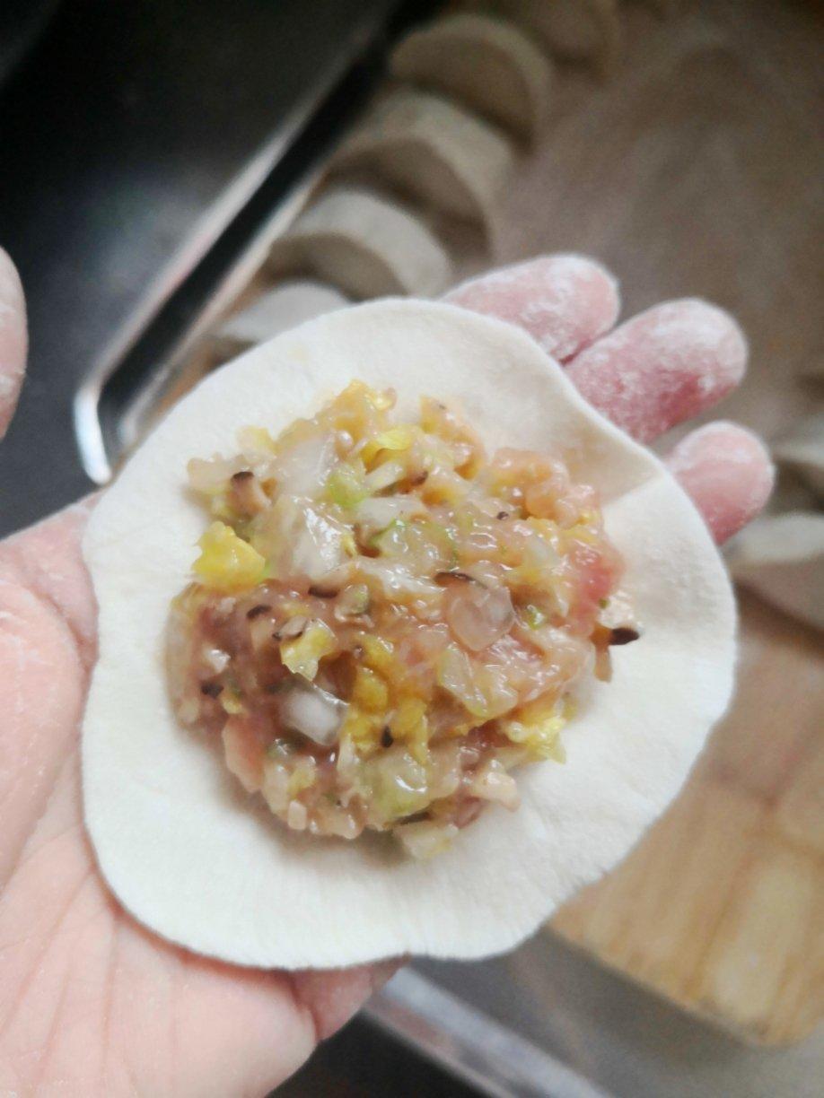 白菜饺子馅（简单又好吃）