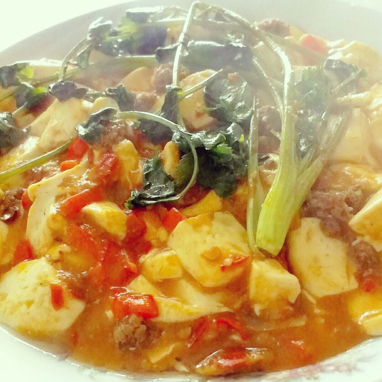 麻婆豆腐
