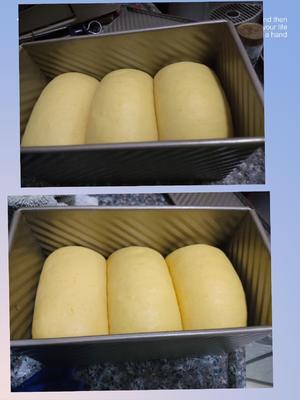 松软奶香浓郁的南瓜吐司（一次发酵法）的做法 步骤9