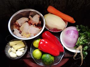 泰式椰香咖喱鸡的做法 步骤1