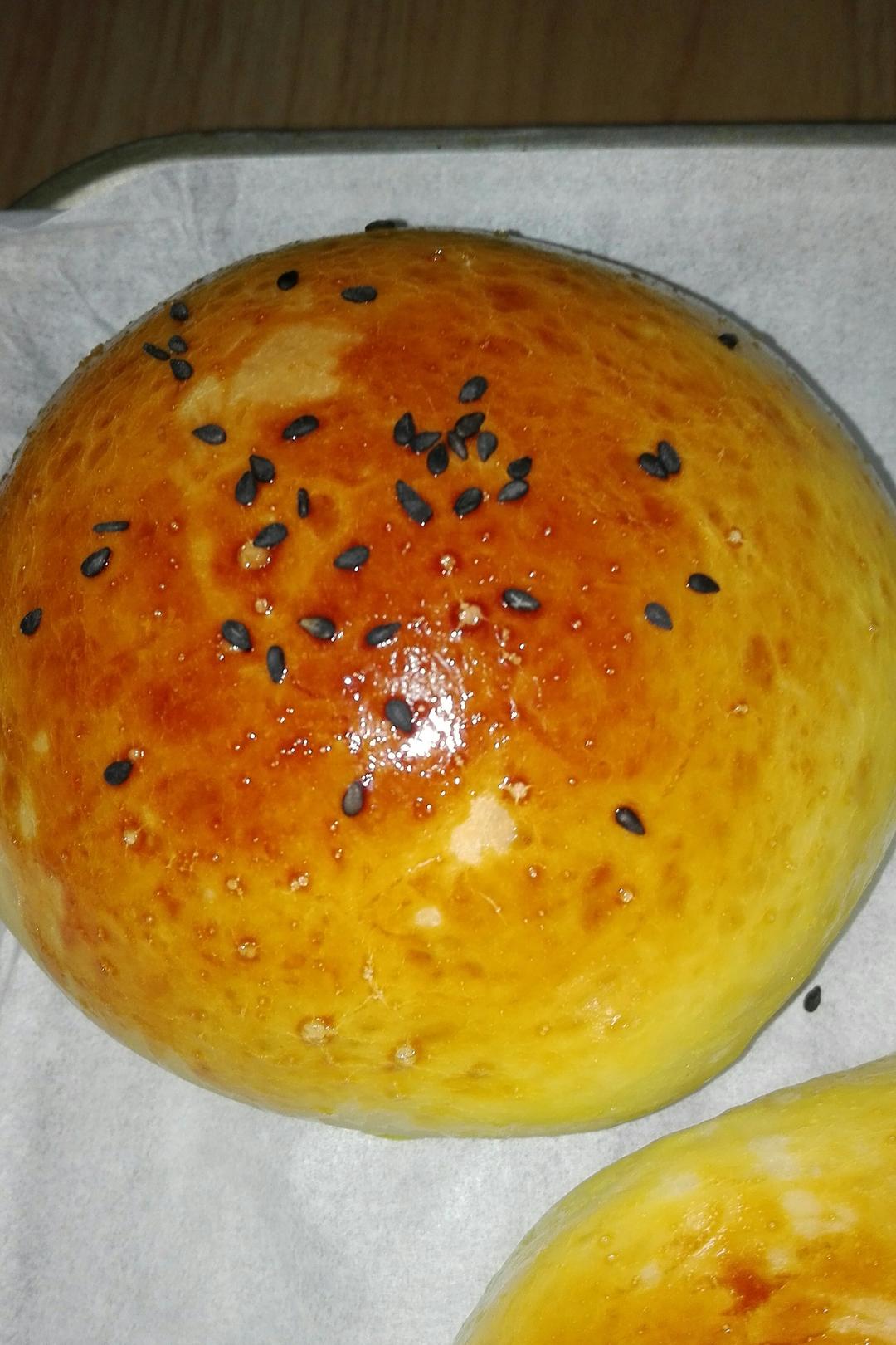 汉堡胚（中种法）