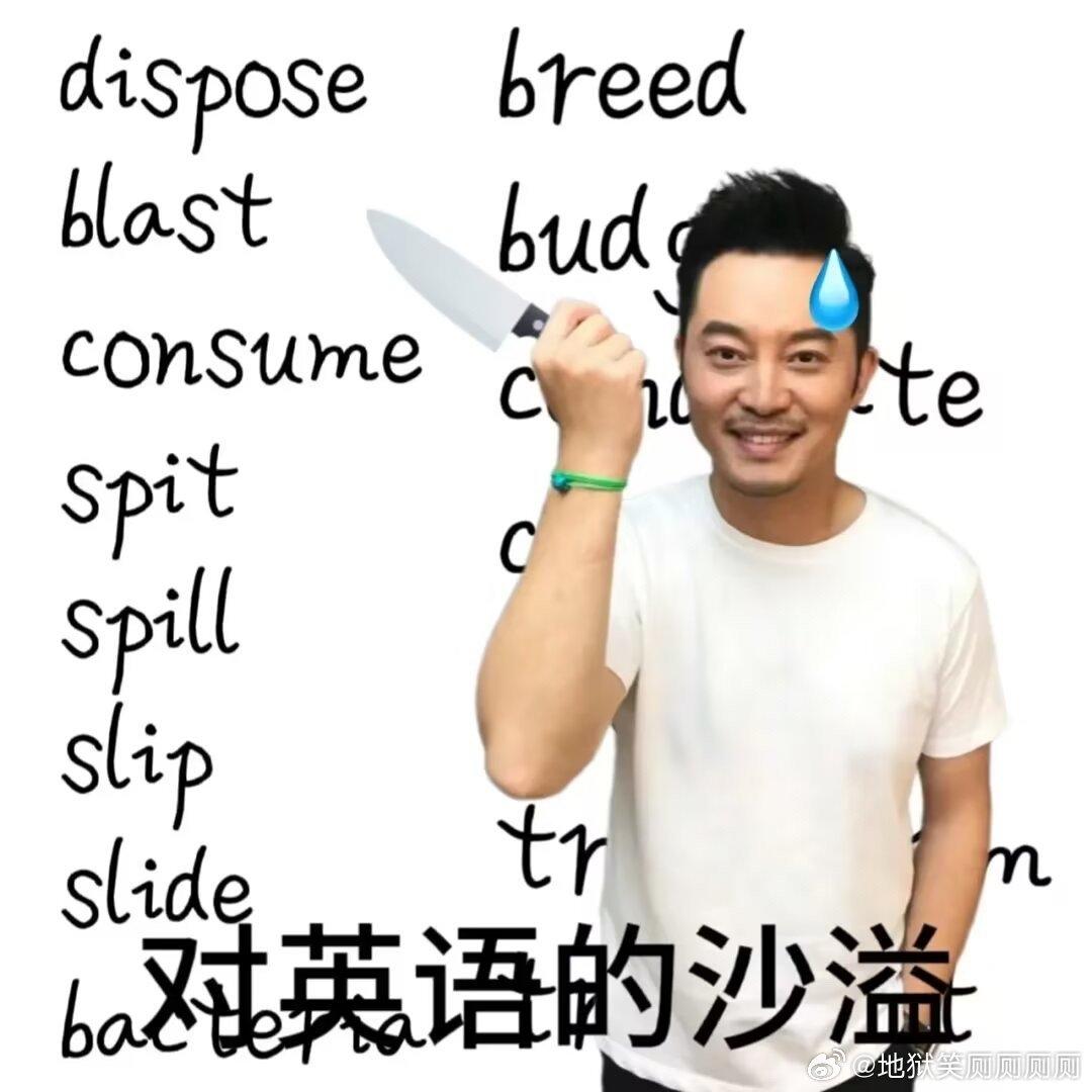 钱钱妙丽的厨房