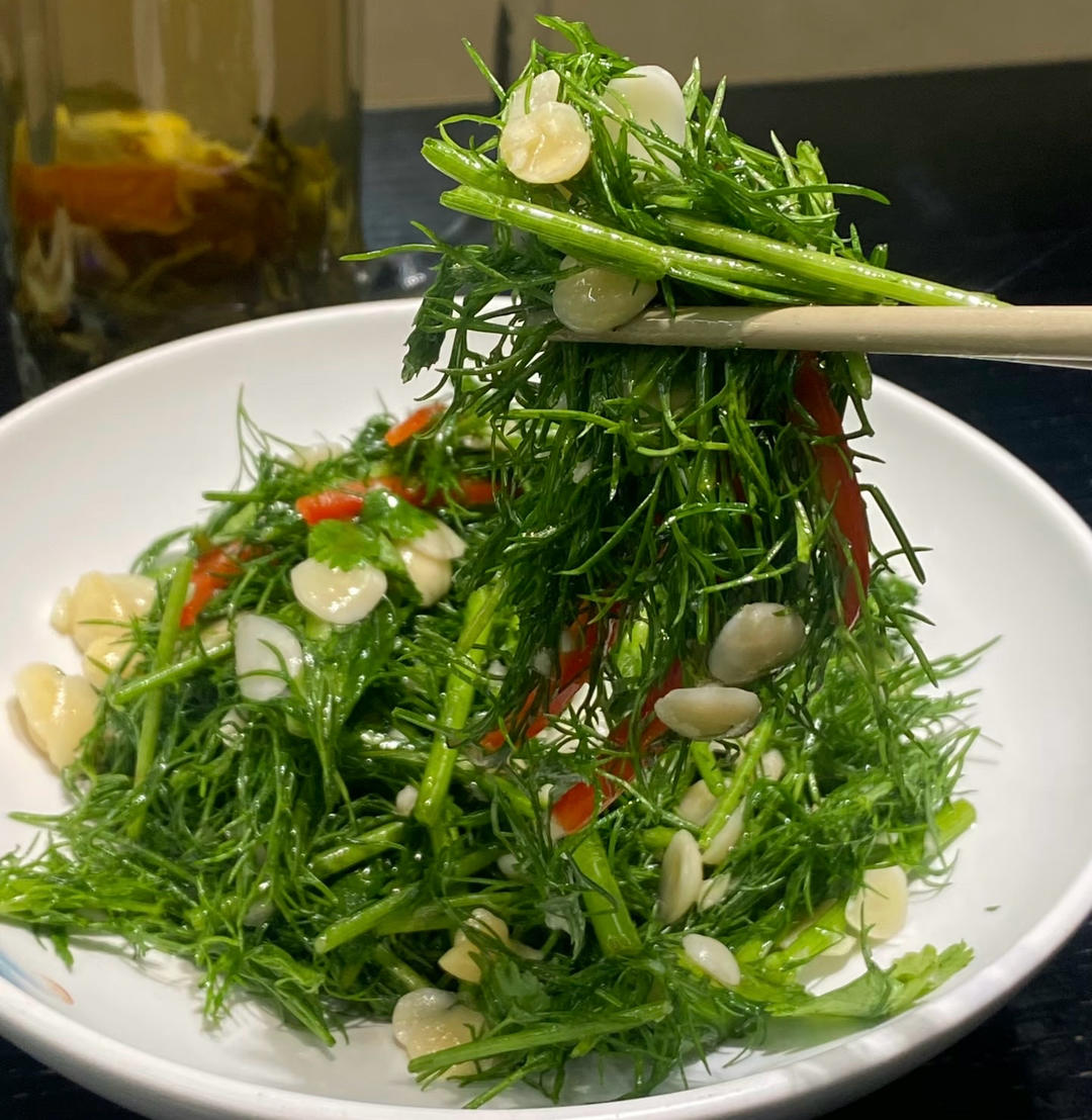 凉拌茴香菜