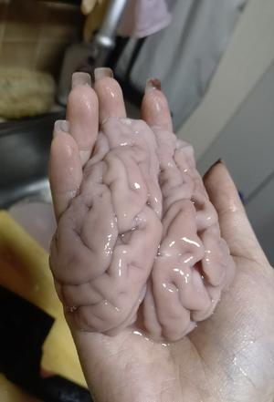 天麻川穹炖猪脑的做法 步骤2