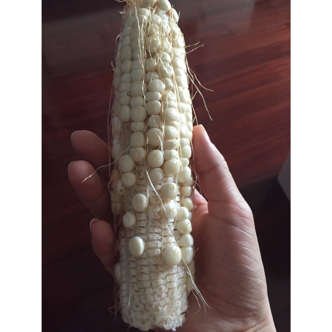 dolce豆豆分享作品午餐612016年8月27日瘌痢头玉米浓汁#午餐61