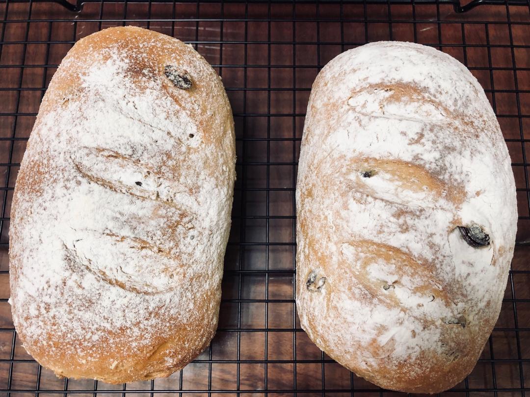 蔓越莓全麦黑糖面包