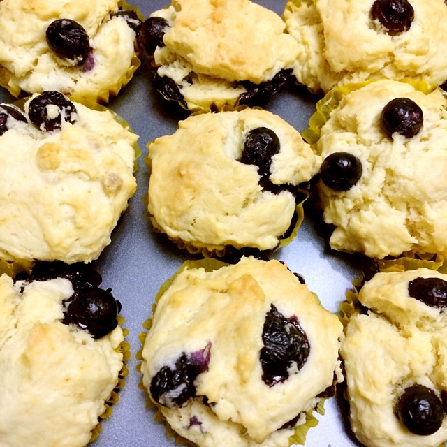 鲜奶油蓝莓纸杯蛋糕 Blueberry Crème  fraîche cupcake