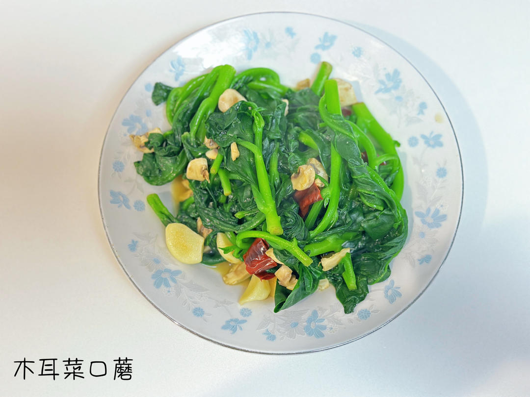 日の食