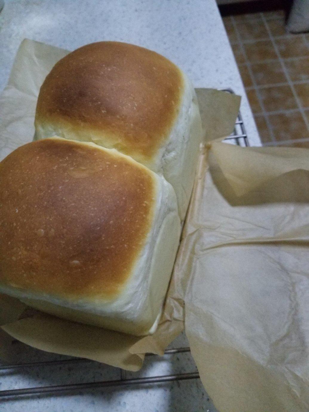 团长的汤种吐司（小餐包通用的万能配方）