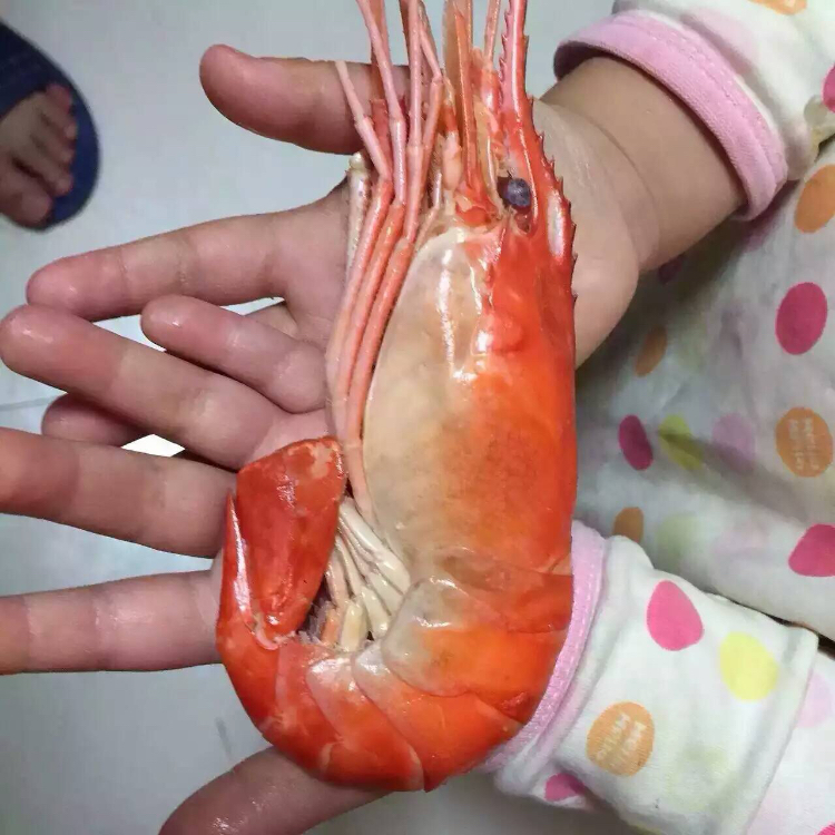 油焖大虾