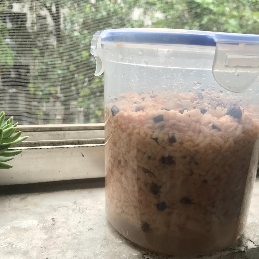 6分钟米酒【杂粮醪糟日志】🐌糙米酒糟 醪糟 酒酿